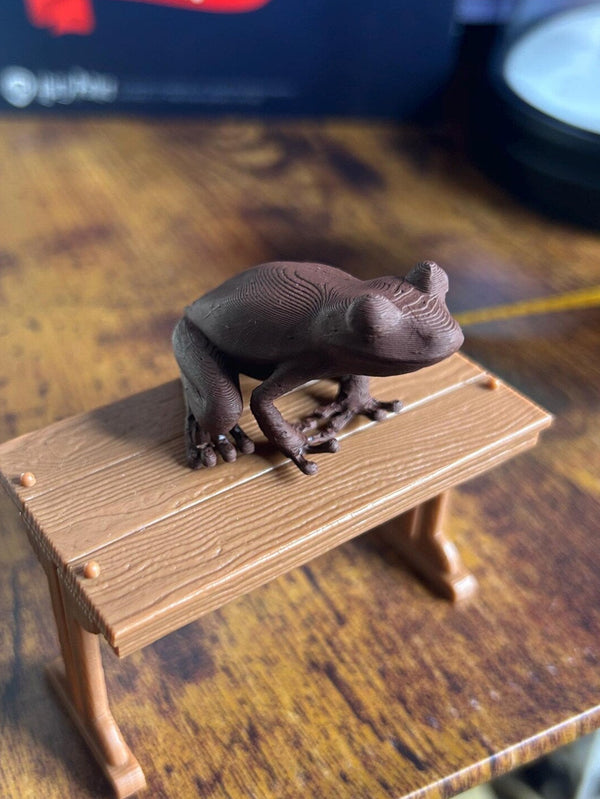 Harry Potter Chocolate Frog 3d Printed Model