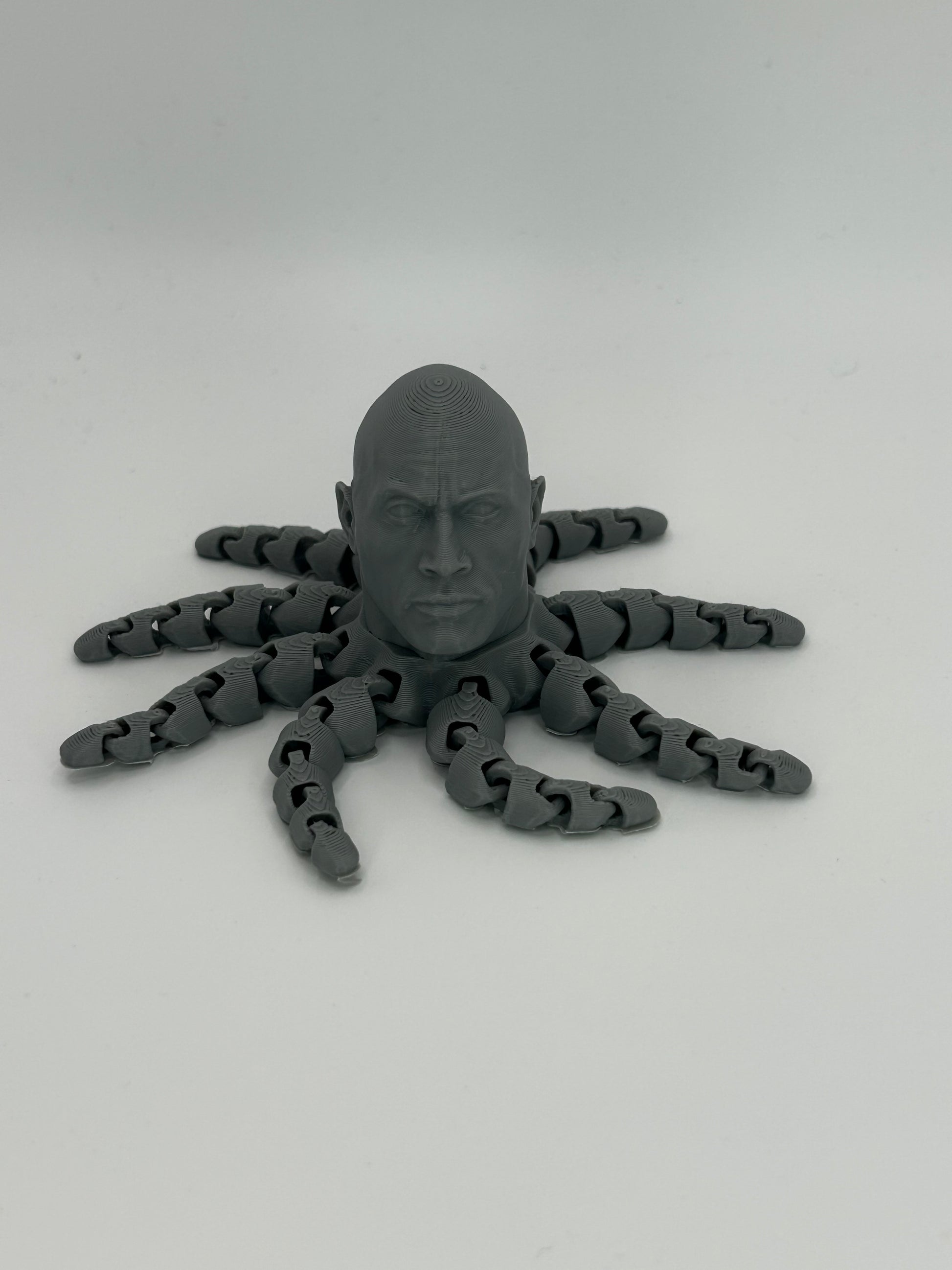 NiccieNacks Rocktopus fidget clicker desk toy featuring a 3D printed octopus design inspired by rocks.