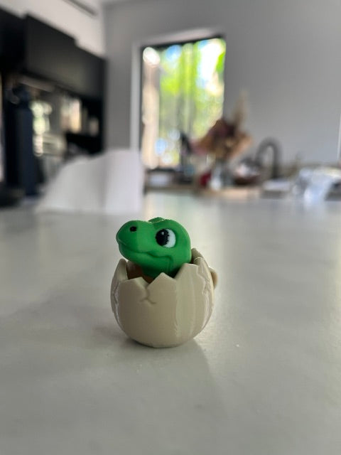 NiccieNacks Dinosaur Egg Fidget Clicker, a colorful plastic toy with a dinosaur egg design for stress relief and sensory fun.